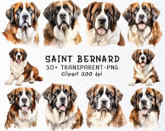 Watercolor Saint Bernard Dog Clipart Bundle (PNG)