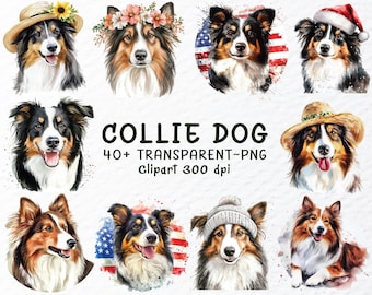 Watercolor Collie Dog Clipart Bundle: Transparent PNG, SVG Files (Digital Download)
