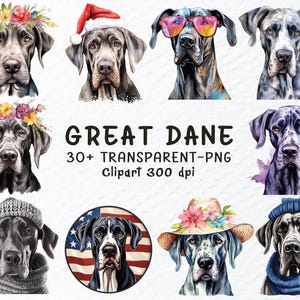 Great Dane Dog Png Clipart Bundle | Great Dane Decal Png Files, Great Dane Clip Art, Watercolor Great Dane Puppy, Dog Breed Transparent Png