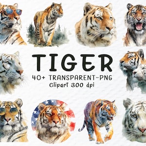 Tiger Clipart Png Bundle, Watercolor Tiger Png Files, Jungle Animal Clipart, White Tiger Clipart Png, Tiger Decal, Transparent Background