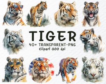 Akvarell tiger clipart PNG-paket: Djungeldjursgrafik (digital nedladdning, 1024x1024px, 300 DPI)