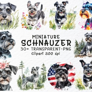Zwergschnauzer Png Clipart Bundle, Zwergschnauzer Hund Aufkleber Png-Datei, Hund Png Clipart, Aquarell Welpe, Hunderasse Transparente Png