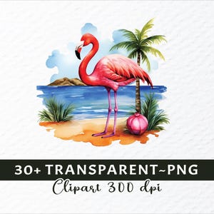 Watercolor Flamingos PNG Clipart Bundle: Transparent Birds Decal ...