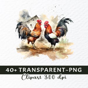 cockfighting png, fighting rooster png, rooster battle png, gamefowl clipart, rooster art png, traditional sport png, vintage rooster png, cultural art png, rooster illustration, fighting cock png, rural tradition png, farm rooster png, heritage art png, rooster design png, classic rooster png, animal illustration, folklore art png, rustic rooster png, rooster symbol png, old sport art png