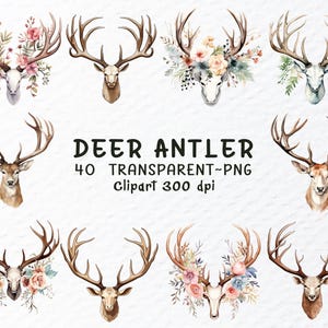 Deer Antlers Clipart, Watercolor Deer Antlers Png, Floral Antlers Clip Art, Wildlife Clipart, Hunting Png, Transparent Background, Antlers