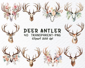 Watercolor Deer Antlers Clipart: Floral Wildlife PNG (Digital Download, 1024x1024px, 300 DPI Transparent Background