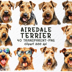 Airedale Terrier Hund Png Clipart Bundle | Airedale Terrier Aufkleber Png-Datei, Hunde Png ClipArt, Aquarell Welpen, Hunderasse Aufkleber Transparent