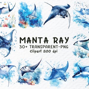 Op de afbeelding: Waterverfillustraties van mantaroggen in verschillende poses, met blauwe en witte tinten. De afbeelding bevat aquatische elementen zoals koraal en vissen, met de tekst "MANTA RAY 30+ TRANSPARENT~PNG Clipart 300 dpi".
