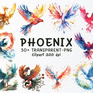 Ensemble de cliparts PNG Phénix | Fichiers PNG aquarelle Phoenix | Png oiseau phénix, Clipart oiseau de feu, sticker phénix, Clipart oiseau transparent Png