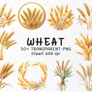 Watercolor Wheat Png Clipart Bundle | Wheat Png Files | Wheat Field Clipart Png | Wheat Crop, Farm Clipart, Wheat Decal, Transparent Clipart