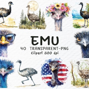 Paquete de imágenes prediseñadas de emú (en formato PNG), archivo de emú en acuarela (en formato PNG), imágenes prediseñadas de animales, imágenes prediseñadas de aves divertidas, fauna australiana, imágenes prediseñadas de emú transparentes