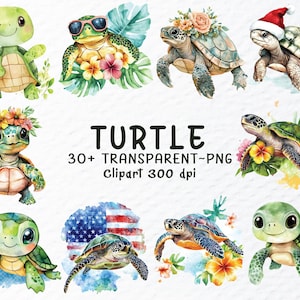 Watercolor Turtle Png Clipart Bundle, Turtle Png Files, Ocean Animals Clipart, Marine Turtle Png, Cute Turtle Decal, Transparent Clipart Png