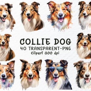 Collie Hund Png Clipart Bundle | Collie Aufkleber Png-Dateien, Collie Hunde Png Clip Art, Aquarell Collie Welpe, Hunderasse Transparente Png-Dateien