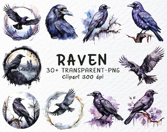 Watercolor Raven Clipart Bundle: Gothic Bird PNG Files (Digital Download)