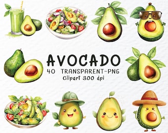 Watercolor Avocado Clipart Bundle: Transparent PNG Files (1024x1024px, 300 DPI) (Digital Download