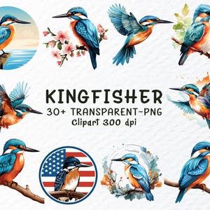Aquarell Eisvogel Png Clipart Bundle | Eisvogel Png-Dateien | Tier Clipart Png | Kinderzimmer Kunst, Eisvogel Aufkleber Transparent Sublimation