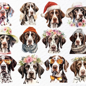Engelse aanwijzer hond png clipartbundel, Engelse aanwijzer sticker png-bestand, honden png-clipart, aquarel puppy, schattige hondenras sticker transparant
