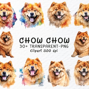 Watercolor Chow Chow Dog Clipart Bundle (PNG Digital Download)
