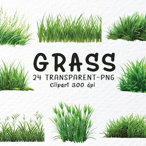 Bundle de cliparts Png herbe, fichier Png herbe aquarelle, sticker sublimation transparente, bordures d'herbe botanique, herbe réaliste Png, herbe à gazon