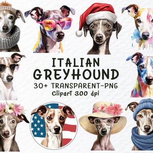 May include: A collection of digital illustrations featuring Italian Greyhounds in various poses and outfits. The dogs are depicted in a watercolour style with vibrant colours and playful expressions. The illustrations are perfect for creating personalised projects, greeting cards, or adding a touch of whimsy to your designs.