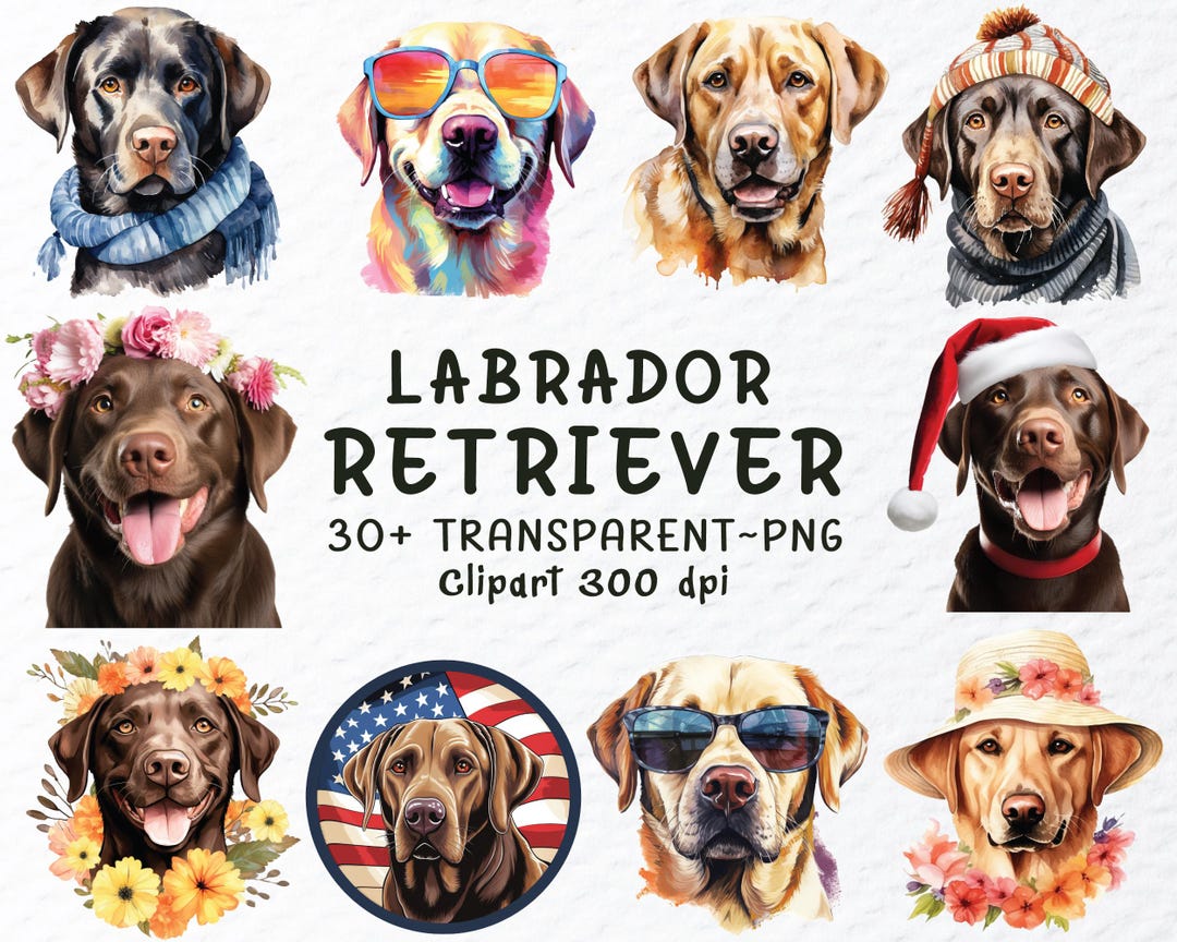 Labrador Retriever Dog Png Clipart Bundle | Labrador Retriever Decal ...