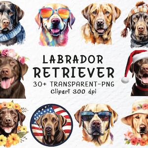 Labrador Retriever Dog Png Clipart Bundle | Labrador Retriever Decal Png File, Dogs Png Clipart, Watercolor Puppy, Dog Breed Transparent Png