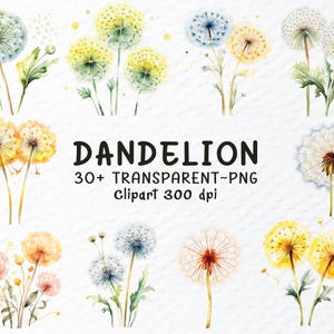 Paquete de imágenes prediseñadas de diente de león en acuarela (PPT) / Archivos PPT de flor de diente de león / Gráficos florales en flor / Calcomanía de diente de león, imágenes prediseñadas de flor transparente