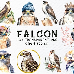 Watercolor Falcon Png Clipart Bundle, Falcon Png Files, Peregrine Floral Falcon Clipart, Flying Falcon Png, Falcon Decal Transparent Clipart