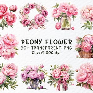 Pfingstrose Blume Png Bundle, Aquarell Blumen Png-Dateien, Pfingstrosen Bouquet Clipart, Hochzeit Bouquet Png, Pfingstrose Blume Aufkleber, Transparent