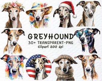 Pode incluir: Um conjunto de ilustrações digitais de 10 imagens clipart de cães galgos em aquarela. Os cães são retratados em várias poses e usam diferentes acessórios, incluindo uma coroa de flores, um chapéu de palha, um chapéu de Papai Noel, óculos de sol, uma echarpe e uma bandana com a bandeira americana. O texto "GREYHOUND 30+ TRANSPARENT PNG Clipart 300 dpi" está incluído na imagem.