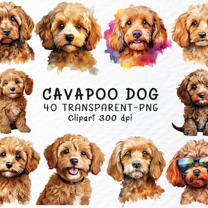 May include: A collection of 40 digital illustrations of Cavapoo dogs. The images are in a watercolour style and feature various poses and expressions. The dogs are all brown and white and have fluffy fur. The images are perfect for use in crafting projects, scrapbooking, or digital design.