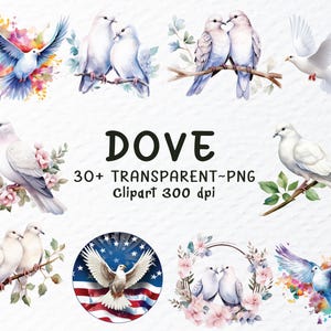Pacote de Clipart de Pomba em Aquarela PNG | Arquivos PNG de Pomba | Pombas Românticas | Pomba da Paz, Convite de Casamento, Adesivo de Pomba Transparente por Sublimação
