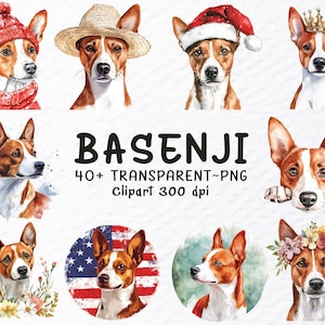 Basenji Hund Png Clipart Bundle | Basenji Hund Aufkleber | Hunde Png Clip Art | Aquarell Basenji Welpe Clipart | Hunderasse Transparent Png Design
