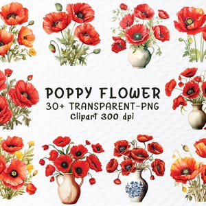 Bundle de cliparts Png aquarelle fleur de pavot, fichiers Png fleur de pavot, fleurs de pavot rouge Clipart, sticker fleur de pavot, Clipart fleur transparente