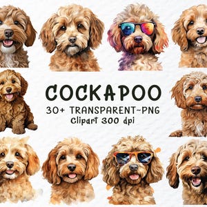 Cockapoo Hund Png Clipart Bundle | Cockapoo Aufkleber Png-Dateien, Cockapoo Hunde Png Clip Art, Aquarell Cockapoo Welpe, Hunderasse Transparente Png