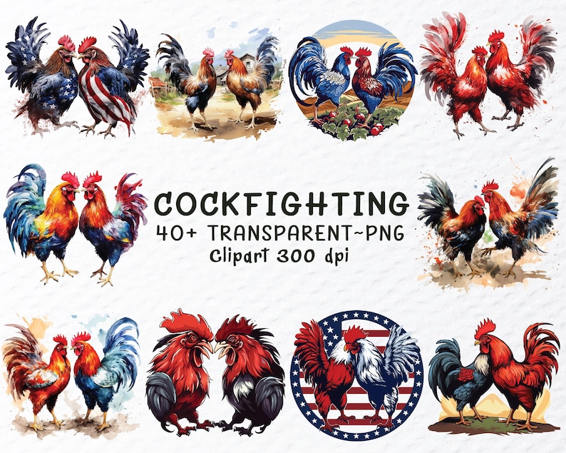 cockfighting png, fighting rooster png, rooster battle png, gamefowl clipart, rooster art png, traditional sport png, vintage rooster png, cultural art png, rooster illustration, fighting cock png, rural tradition png, farm rooster png, heritage art png, rooster design png, classic rooster png, animal illustration, folklore art png, rustic rooster png, rooster symbol png, old sport art png