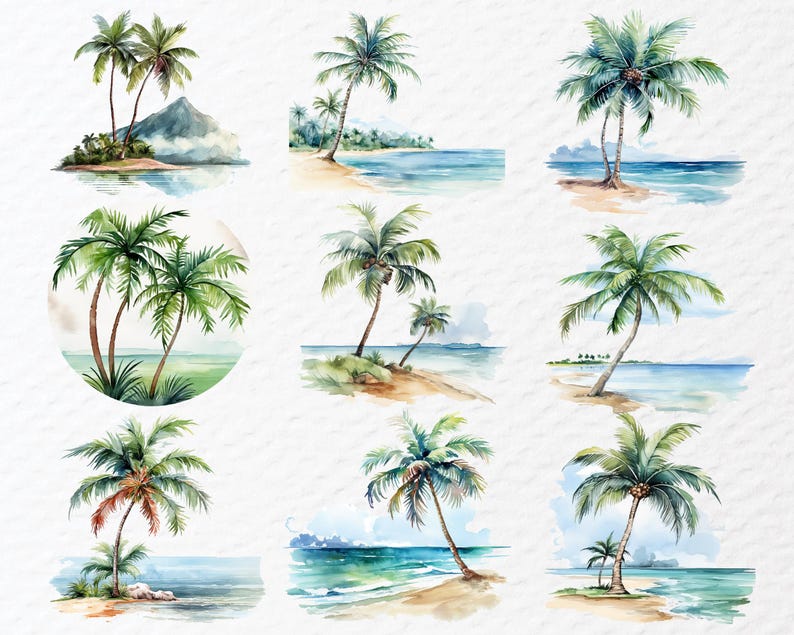 Palm Tree Bundle, Tropical Palm PNG, Beach Summer Clipart Design - Etsy