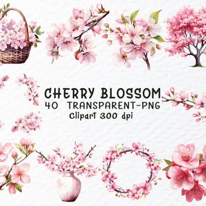 Cherry Blossom Clipart Png, Watercolor Cherry Blossom Png Set, Pink Sakura Clipart, Spring Floral Clipart, Cherry Flower Png, Wedding Floral