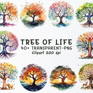 Tree of Life Clipart Bundle, Sacred Symbol PNG, Spiritual Nature Clipart, Boho Mandala