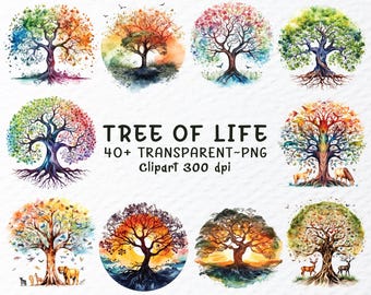 May include: A collection of watercolor illustrations of the Tree of Life. Each tree is depicted in a circular frame with vibrant colors, including green, orange, blue, and red. The image includes the text "TREE OF LIFE 40+ TRANSPARENT~PNG Clipart 300 dpi."