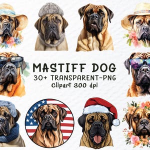 Mastiff hond png clipart bundel, sticker Engelse mastiff, honden png-illustraties, aquarel Tibetaanse mastiff puppy, hondenras transparant png-ontwerp