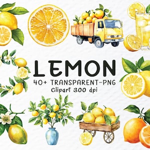Watercolor Lemon Png Clipart Bundle | Lemon Png Files, Lemon Twig Clipart, Lemon Wreath, Fruit Clipart Png, Lemon Decal, Transparent Clipart