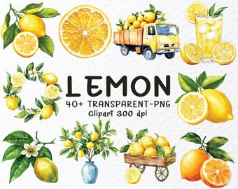 Paquete de imágenes prediseñadas de limón en acuarela: Corona de limón y ramita (archivos PNG)