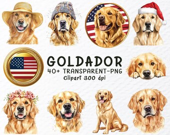 Watercolor Goldador Dog Clipart Bundle: Transparent PNG Designs (1024x1024px)