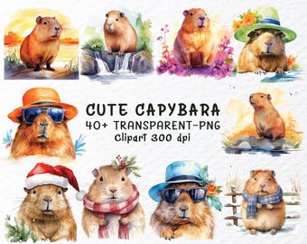 Pacote de capivara, desenho animado capivara PNG, clipart de animais kawaii, design engraçado de animais de estimação