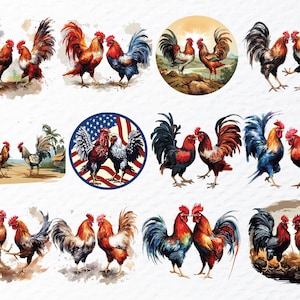 cockfighting png, fighting rooster png, rooster battle png, gamefowl clipart, rooster art png, traditional sport png, vintage rooster png, cultural art png, rooster illustration, fighting cock png, rural tradition png, farm rooster png, heritage art png, rooster design png, classic rooster png, animal illustration, folklore art png, rustic rooster png, rooster symbol png, old sport art png