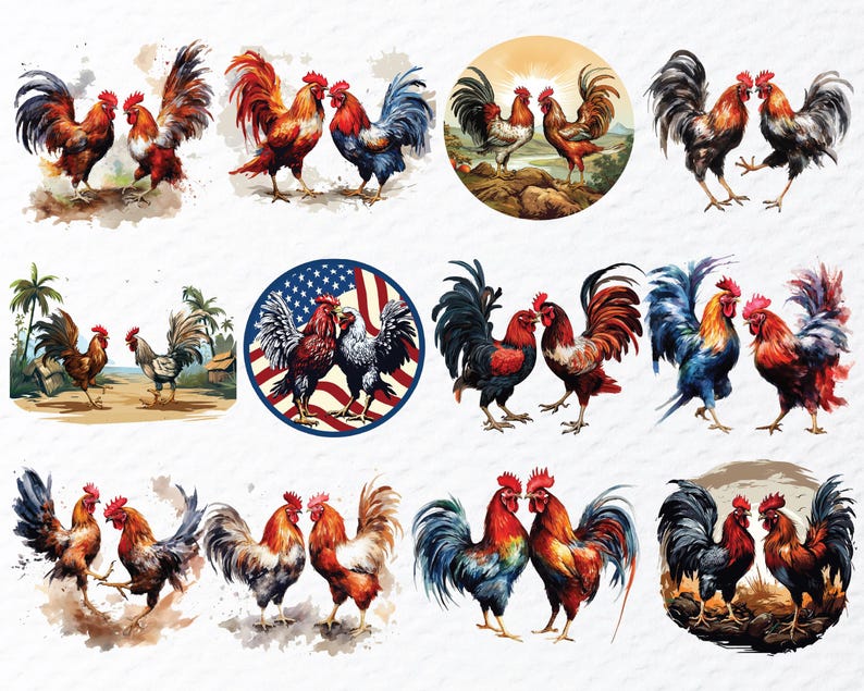 cockfighting png, fighting rooster png, rooster battle png, gamefowl clipart, rooster art png, traditional sport png, vintage rooster png, cultural art png, rooster illustration, fighting cock png, rural tradition png, farm rooster png, heritage art png, rooster design png, classic rooster png, animal illustration, folklore art png, rustic rooster png, rooster symbol png, old sport art png