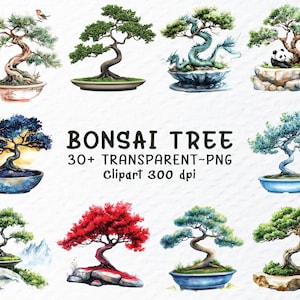 Bonsai Tree - Etsy