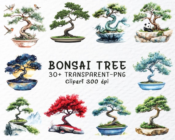 Watercolor Bonsai Tree Clipart Bundle: Japanese PNG Files (Digital Download)