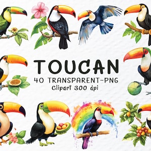 Toucan Png Clipart Bundle | Watercolor Cute Toucan Png Files | Animal Clipart, Tropical Bird Png, Toucan Decal, Transparent Bird Clipart Png
